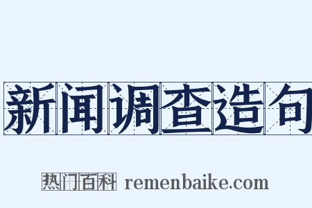 新闻调查造句是什么意思的图片